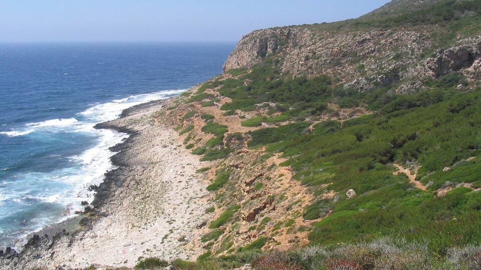 A coastal landscape with a rocky beach, green vegetation, and a clear view of the ocean.