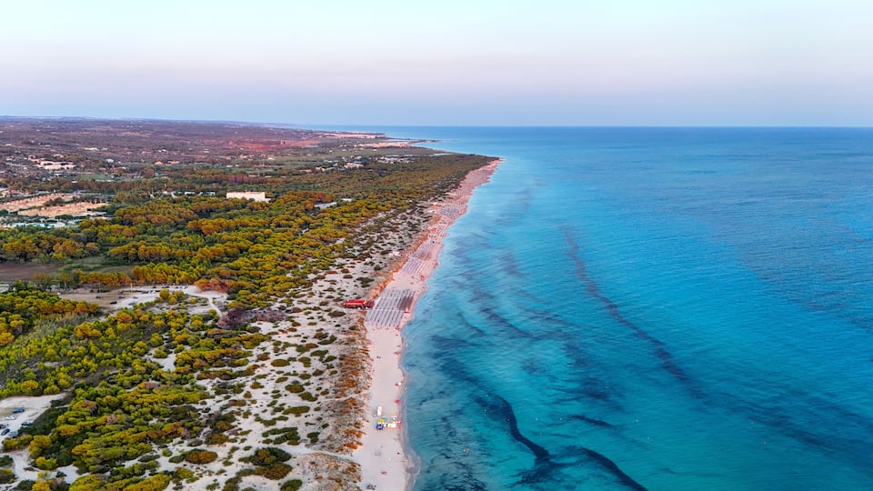 An aerial view of a coastal area with a beach, dense vegetation, and a clear blue sea.