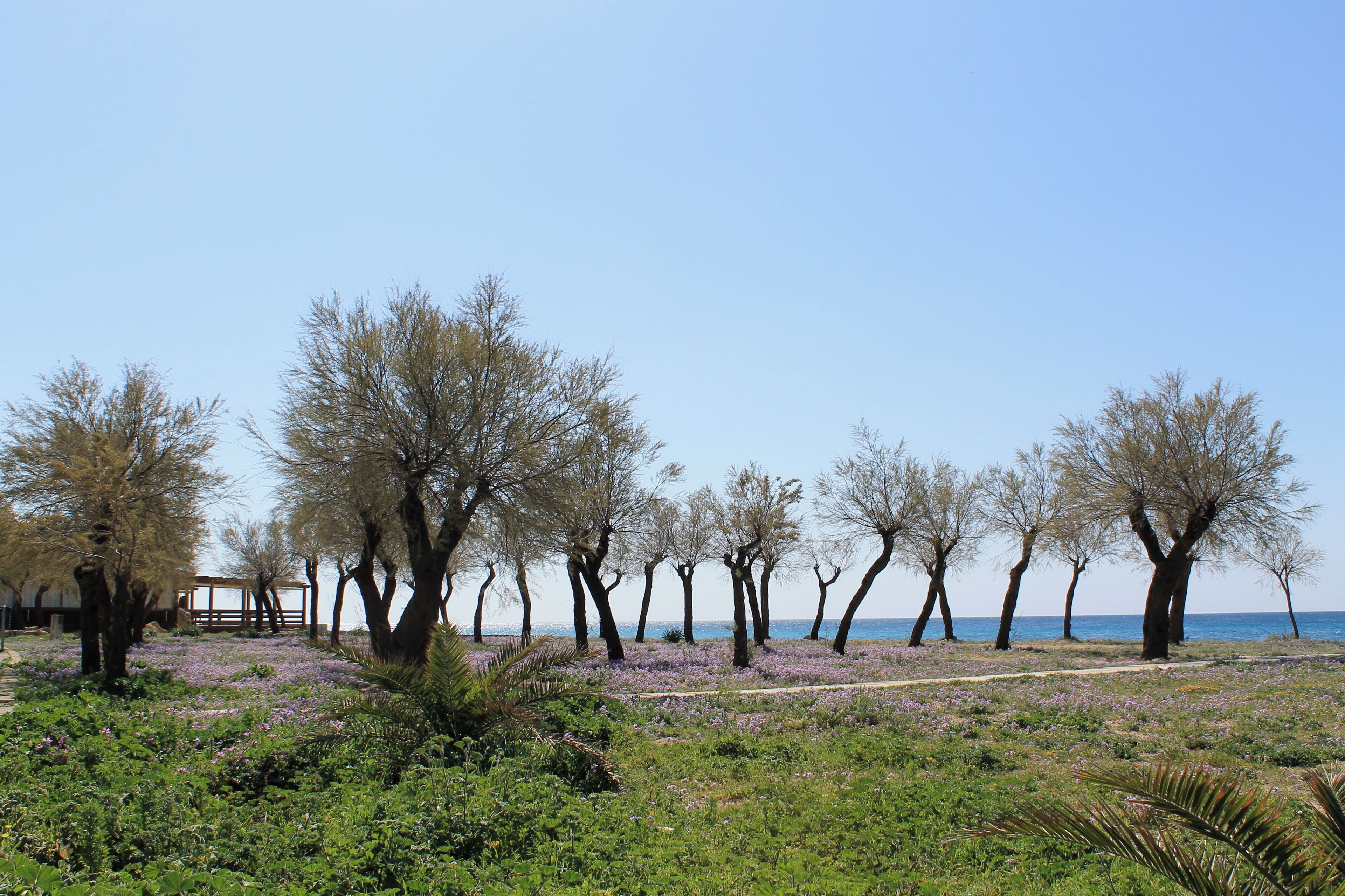Torre San Giovanni, Puglia