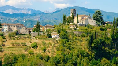 Barga which includes mountains, a small town or village and farmland
