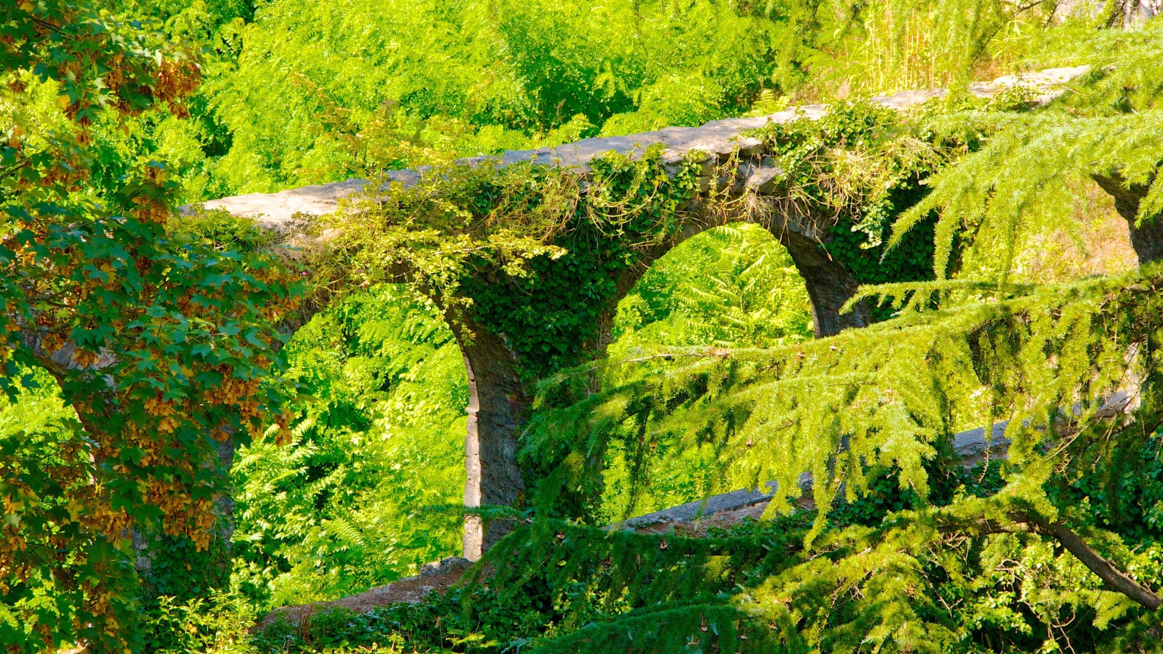 Barga which includes heritage architecture and a park