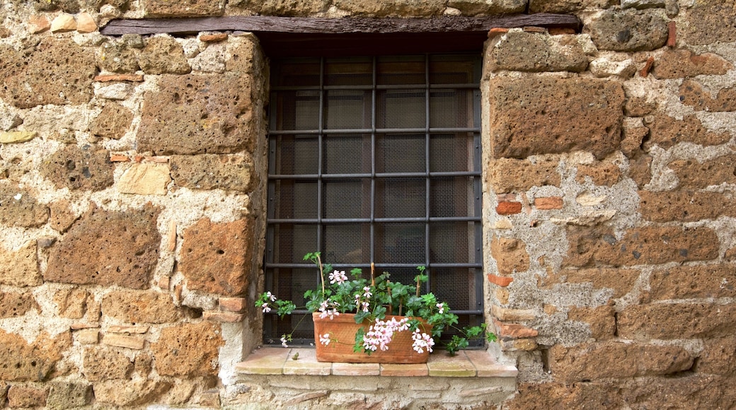 Orte fasiliteter samt blomster