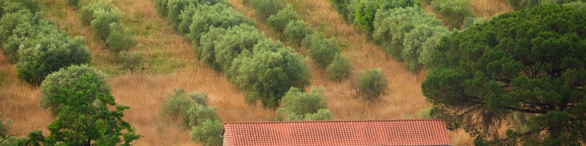 A rustic building with a red-tiled roof surrounded by a hilly landscape with dense green trees.