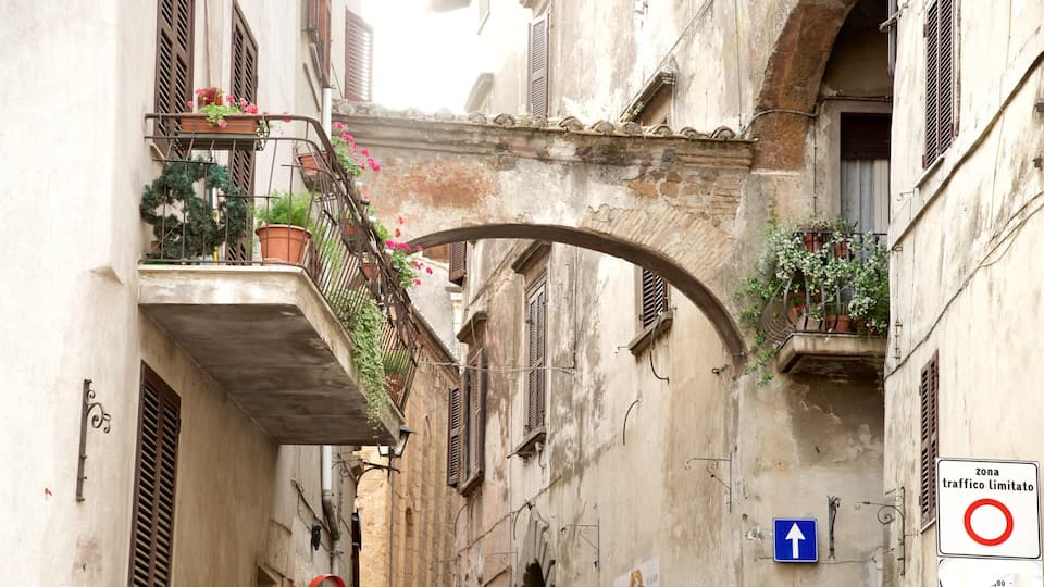 A narrow street with a stone bridge, balconies with potted plants, and a traffic sign indicating a limited traffic zone.