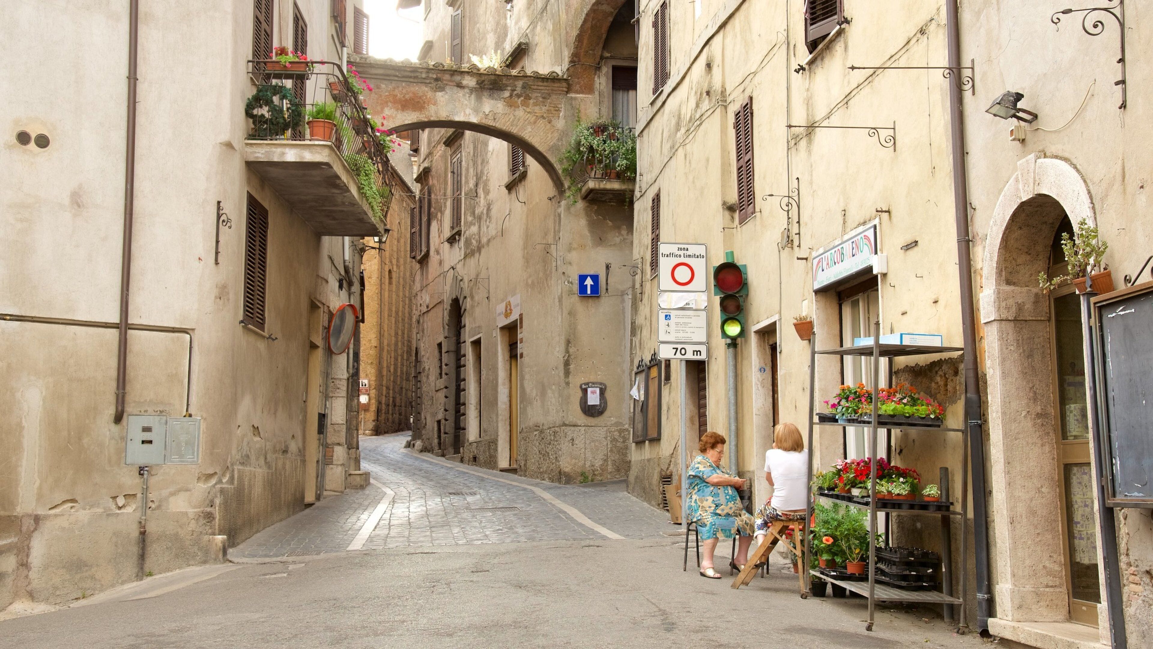 A narrow street with old buildings, a traffic sign, and a flower shop.