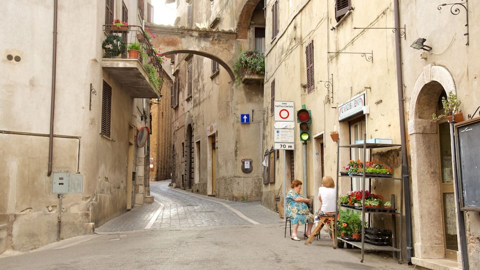 A narrow street with old buildings, a traffic sign, and a flower shop.