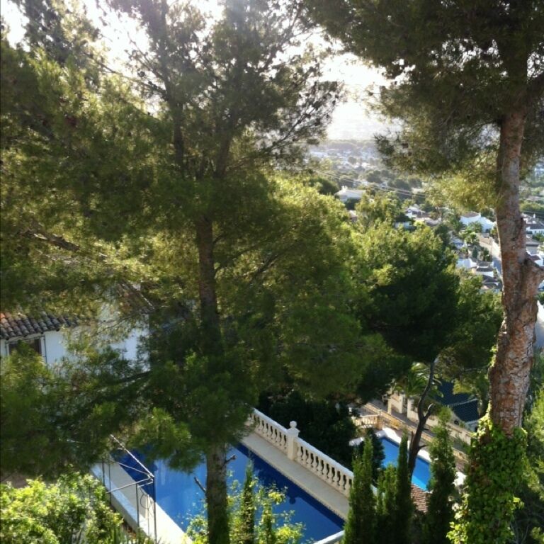 A residential area with a swimming pool, surrounded by tall trees and a view of a distant town.