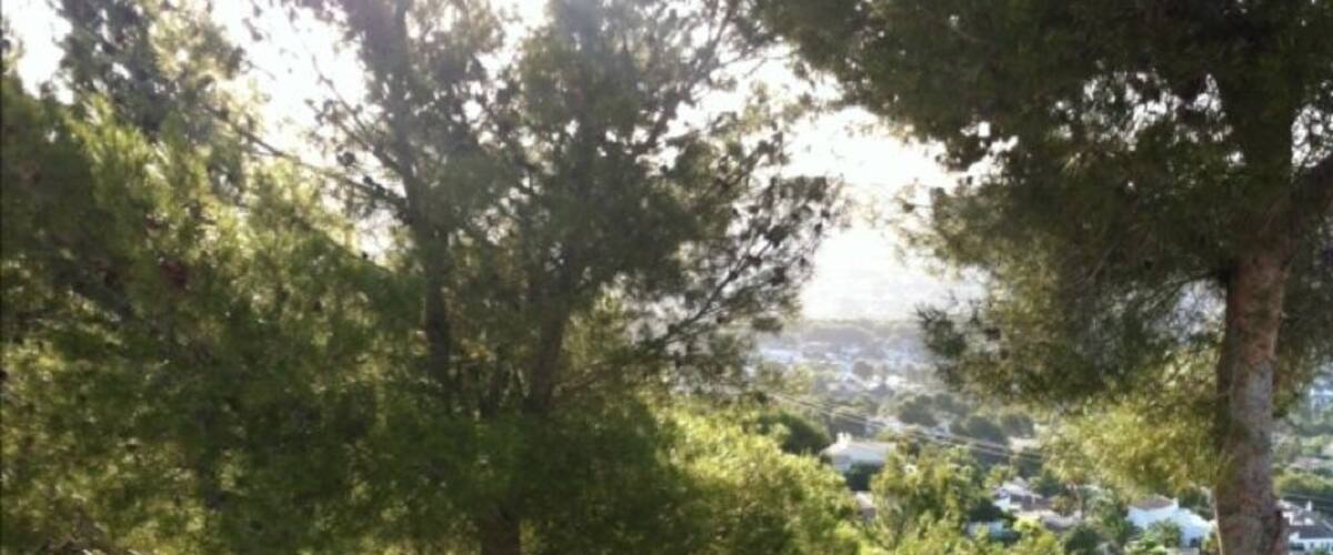 A residential area with a swimming pool, surrounded by tall trees and a view of a distant town.