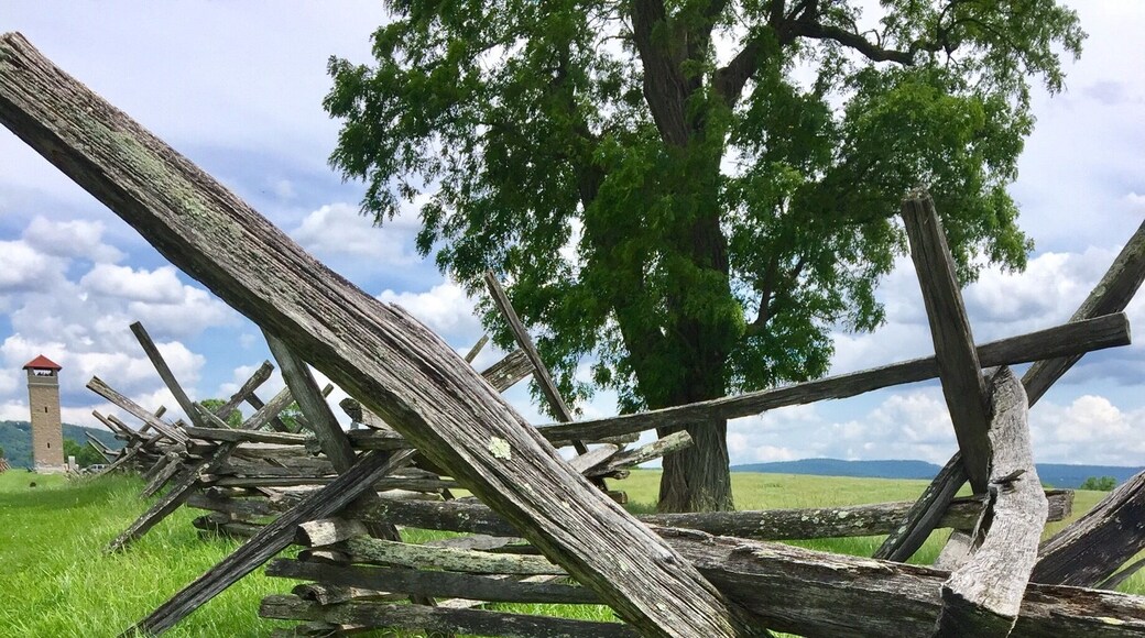 Looking through the fence line along the Sunken Road toward the observation tower that was built by Veterans in 1896.