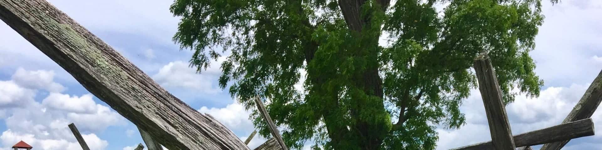 Looking through the fence line along the Sunken Road toward the observation tower that was built by Veterans in 1896.
