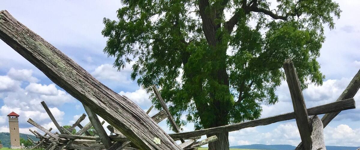 A rustic wooden fence in a grassy field with a tree and a distant tower.