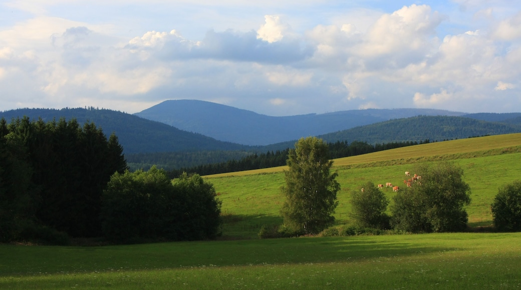 Falkenstein, Bavarian Forest Nationalpark