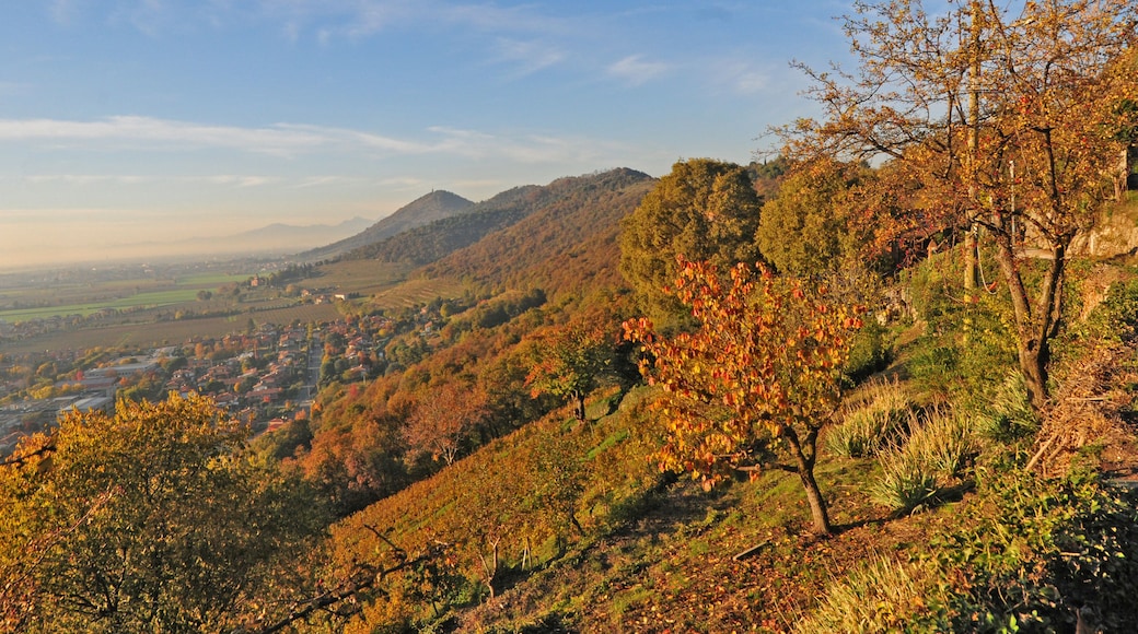 Franciacorta al Montorfano di Rovato al tramonto (Brescia)