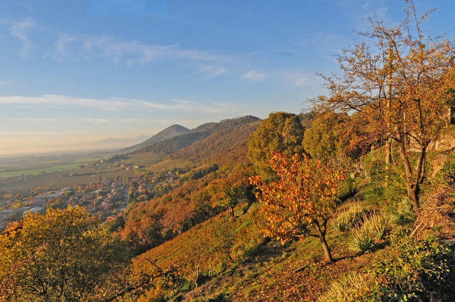 Franciacorta al Montorfano di Rovato al tramonto (Brescia)