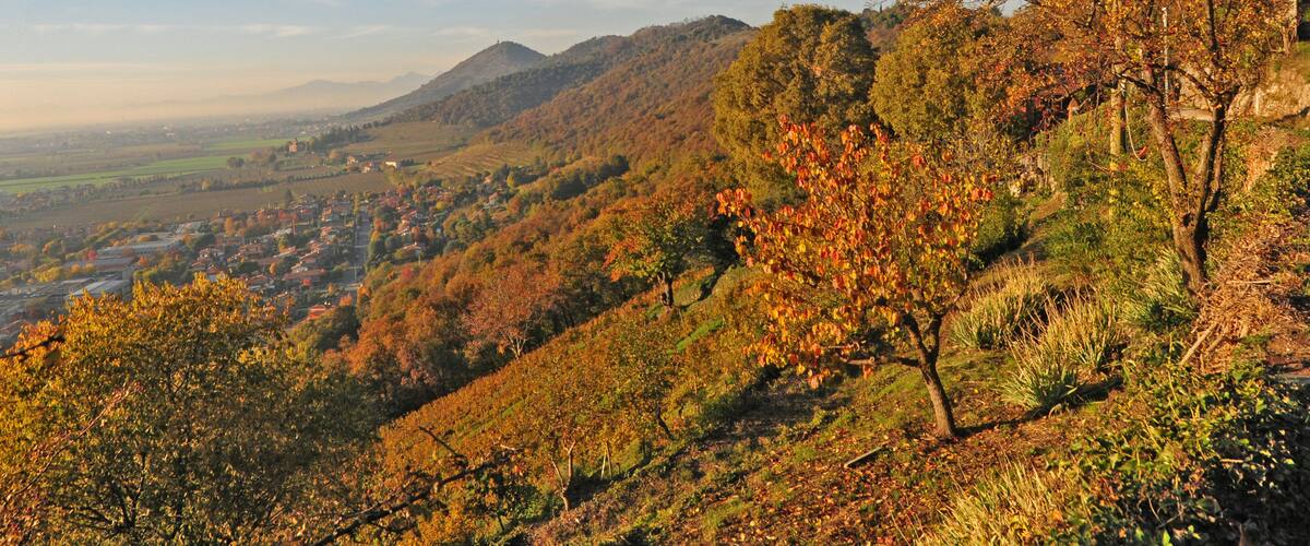 A hilly landscape with autumn foliage, a distant town, and a clear sky.