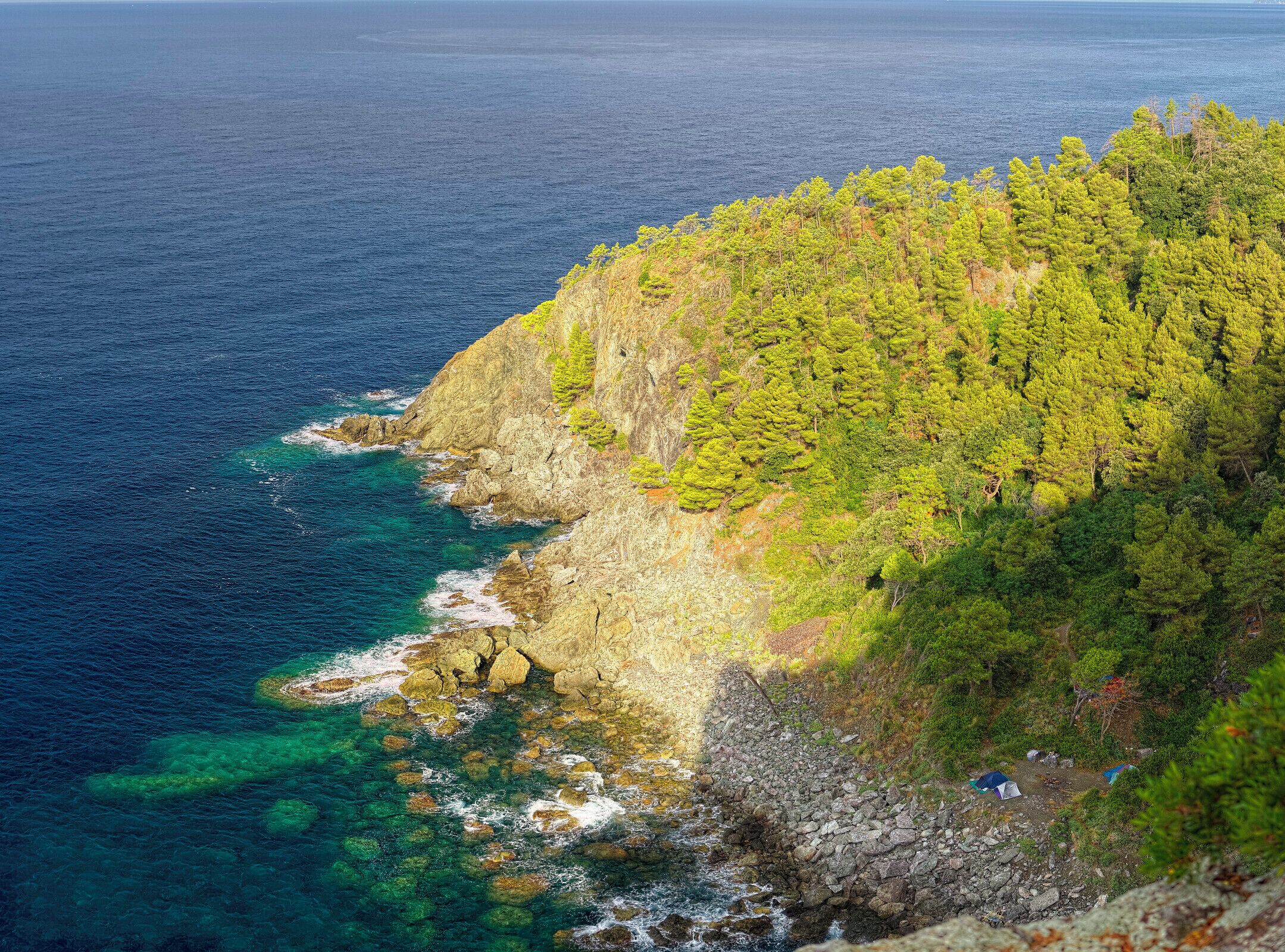 A coastal landscape with a rocky cliff and dense green forest.