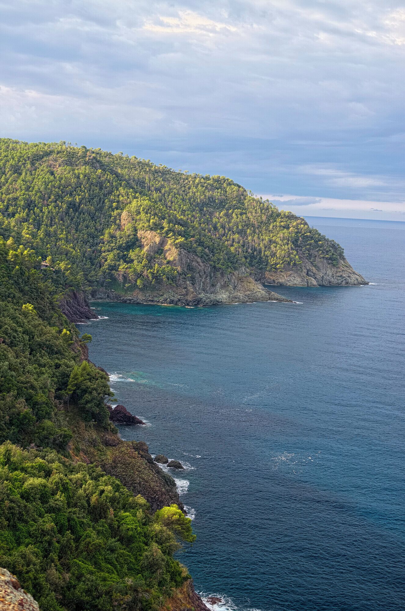 A coastal landscape with dense green vegetation and rocky cliffs overlooking the ocean.