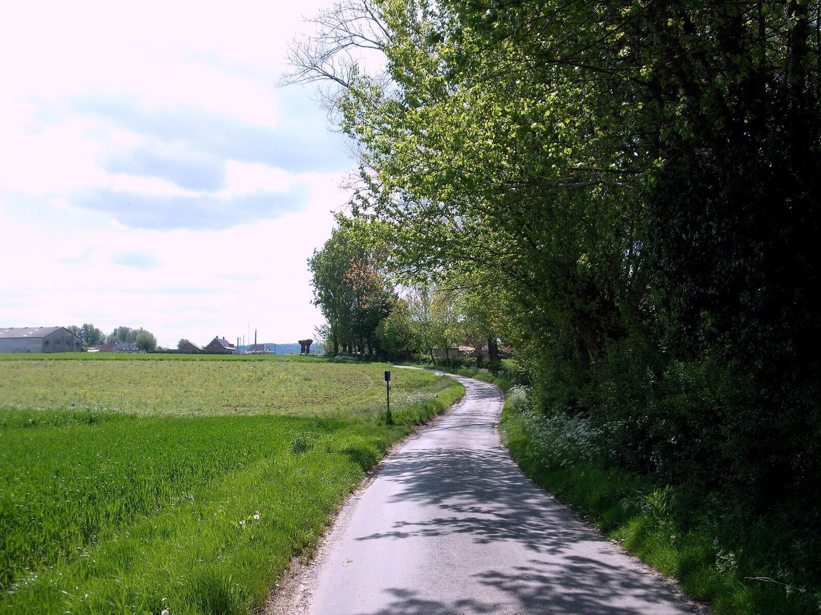 A narrow rural road flanked by lush greenery and fields, with a clear sky above.