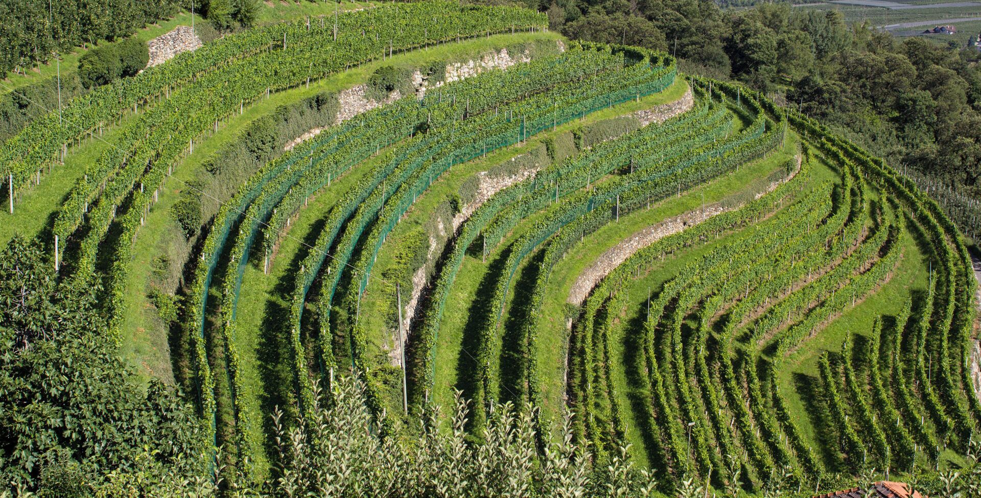 Schlanders, Province of Bolzano - South Tyrol, Italy Weingut bei Vetzan / Schlanders