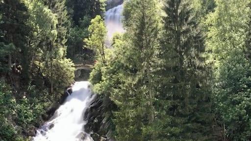 #naturephotocontest
#lifeatexpedia