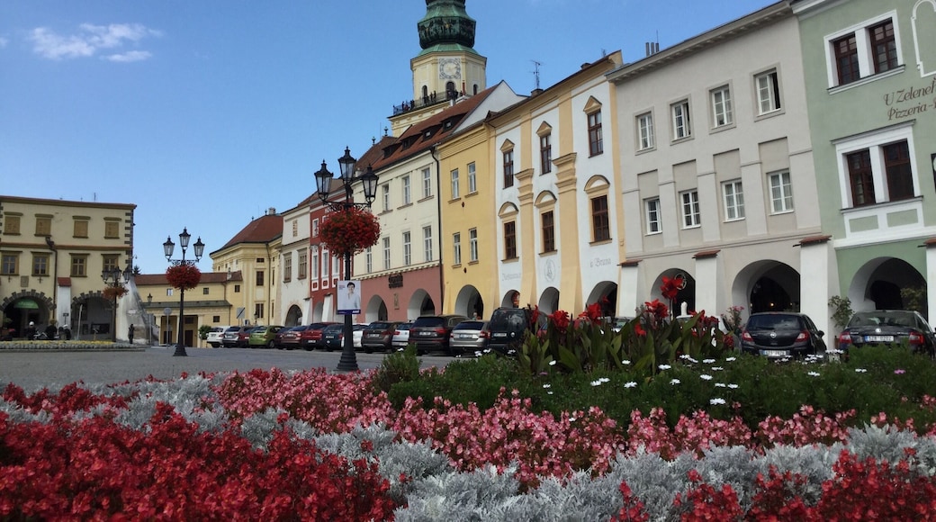 Kroměříž is a small town in Moravia situated between Olomouc, Brno and Přerov.
It's relatively untravelled and off the beaten track, despite its UNESCO World Heritage Site status, thanks to the gardens and castle. I would definitely recommend a day trip or overnight stop if you're in the vacinity.
#UNESCO #architecture