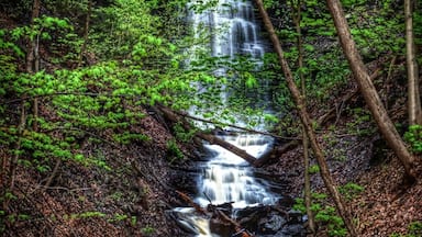 You don't need to hike far,as this waterfall is just on the other side of a barrier off the rural route road that runs through town. ( but if you blink you'll most likely miss it as it's not marked with any signage.) #hiking