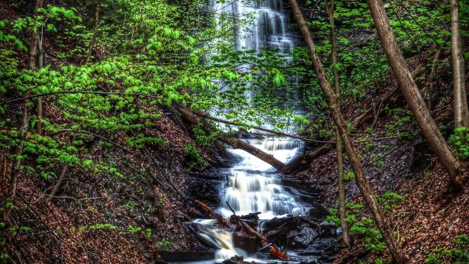 A waterfall in a forested area with dense green foliage and rocky terrain.