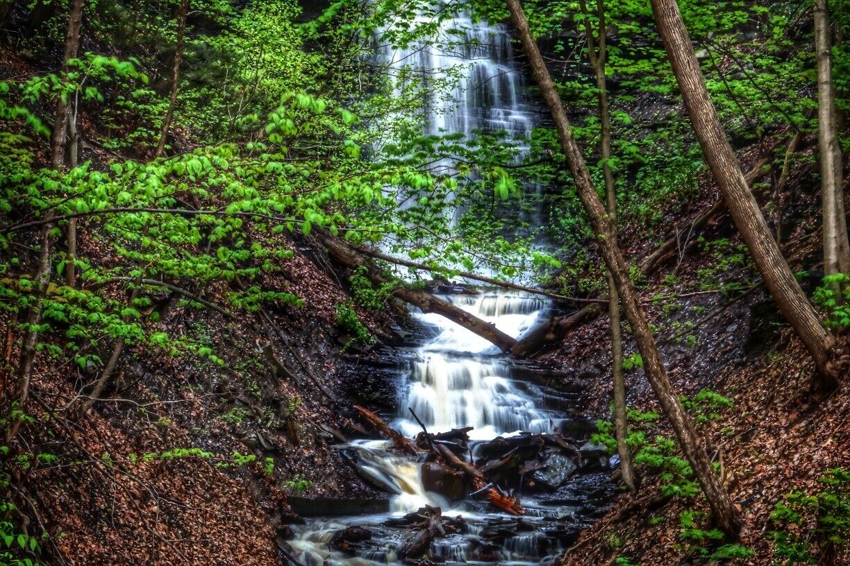 A waterfall in a forested area with dense green foliage and rocky terrain.