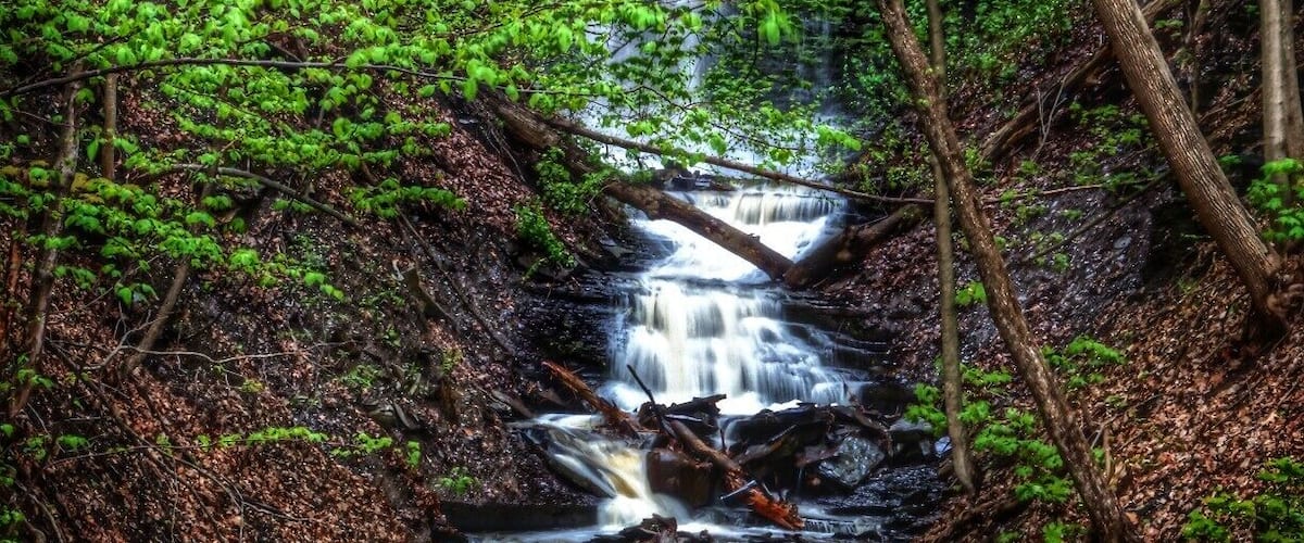 A waterfall in a forested area with dense green foliage and rocky terrain.