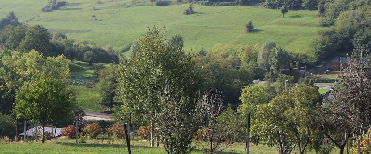 Zona "Pascolo"