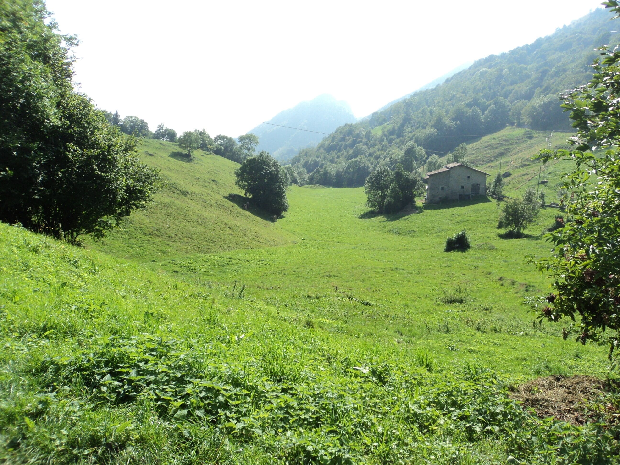 A lush green valley with a small stone house surrounded by trees and hills.