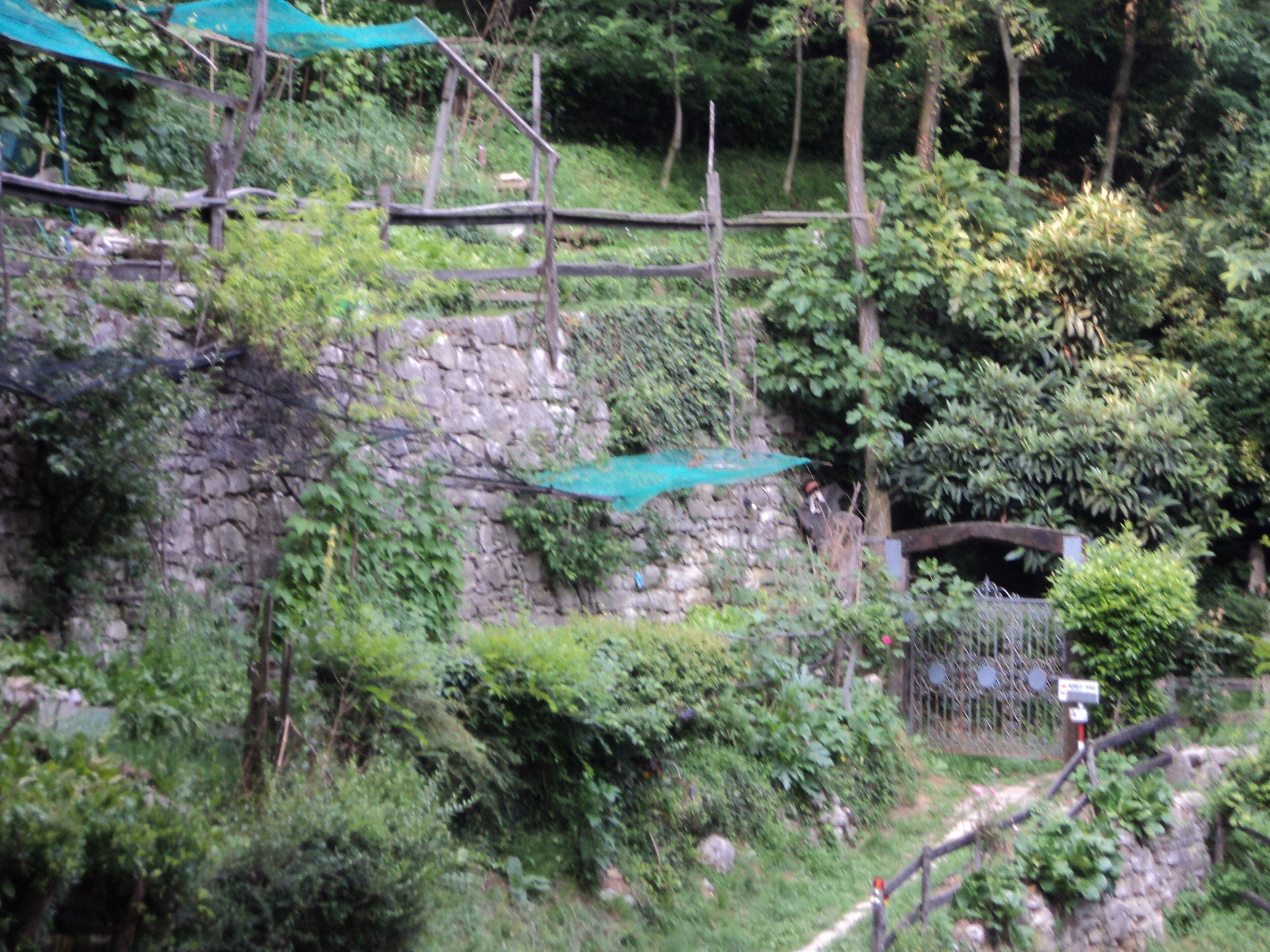 Giardino (ricavato dal bosco)