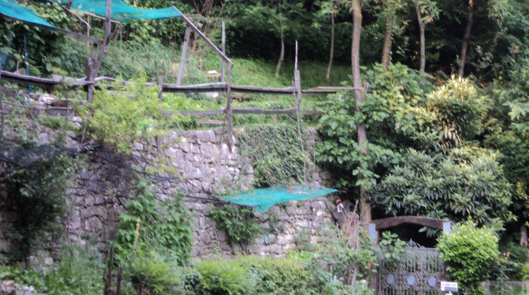 Giardino (ricavato dal bosco)