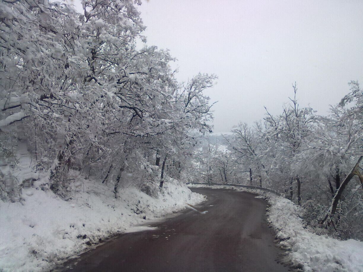 This leads to the enchanted forest, I can prove it!