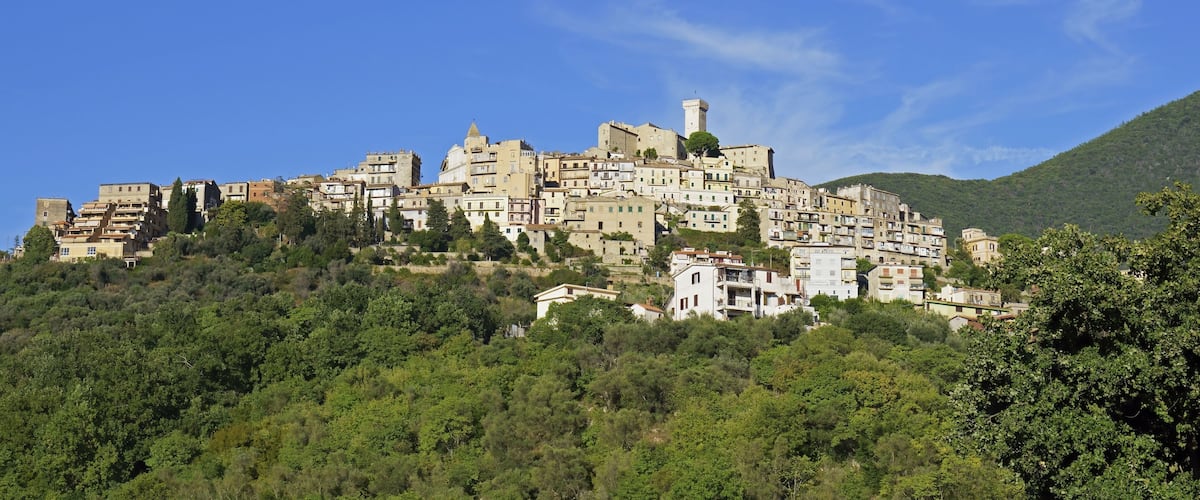 A historic town built on a hillside with a prominent tower and dense greenery.