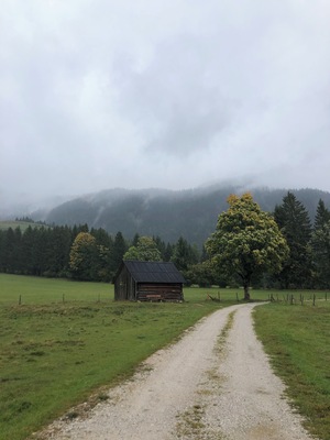 🍂⛰