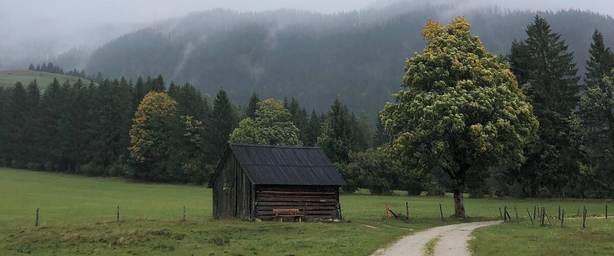 A rural landscape with a gravel path leading to a wooden cabin, surrounded by green fields and a large tree.