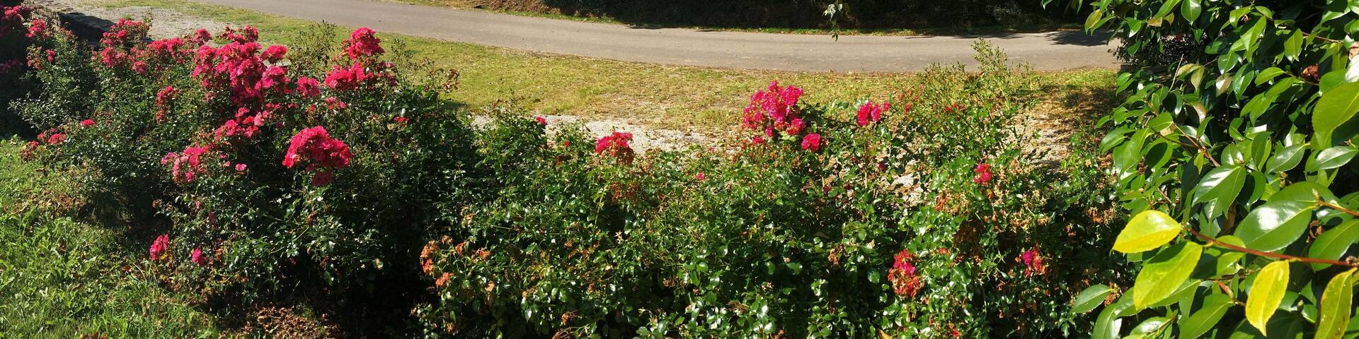 en campagne sur Barré Nevez à Briec Bretagne Cornouailles Finistère France
