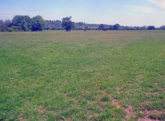 Grazing land at Corsend Farm View north-east across a large field towards Foscombe Hill.