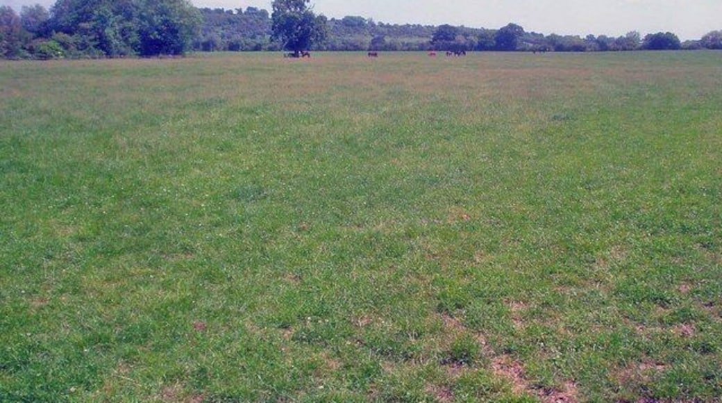 Grazing land at Corsend Farm View north-east across a large field towards Foscombe Hill.