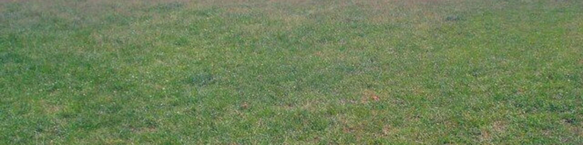 Un extenso campo abierto con hierba escasa y algunos árboles a lo lejos.
