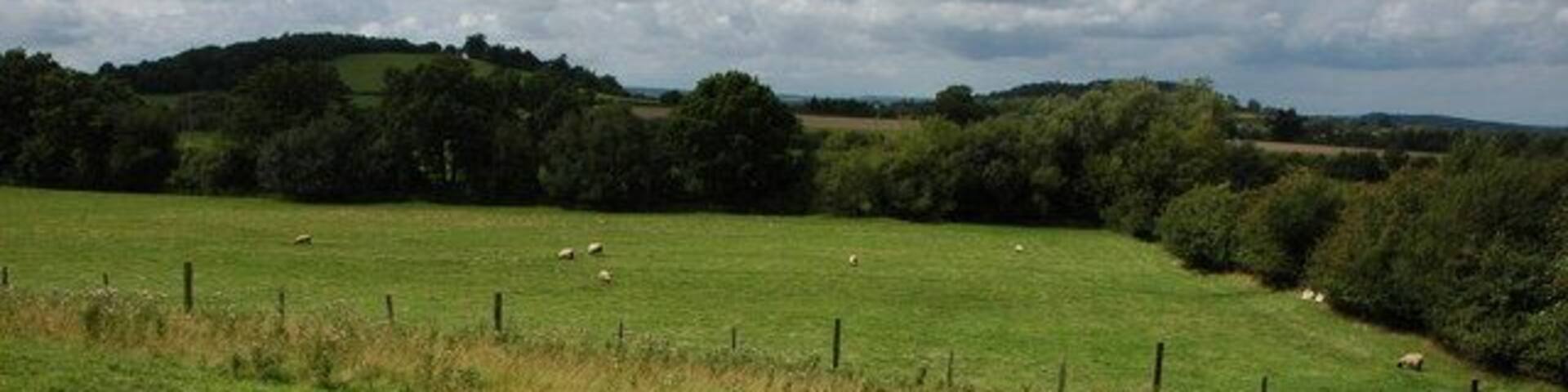 Farmland at Hartpury View west across farmland at Hartpury, the small hill in the background is Catsbury Hill.