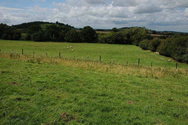 A green field with a fence and sheep grazing.