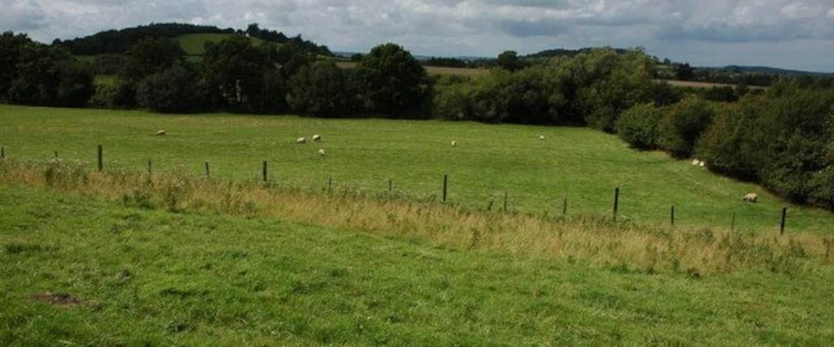 A green field with a fence and sheep grazing.