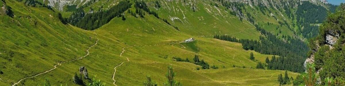 Un paysage montagneux avec un sentier sinueux, des forêts denses et des pics escarpés.
