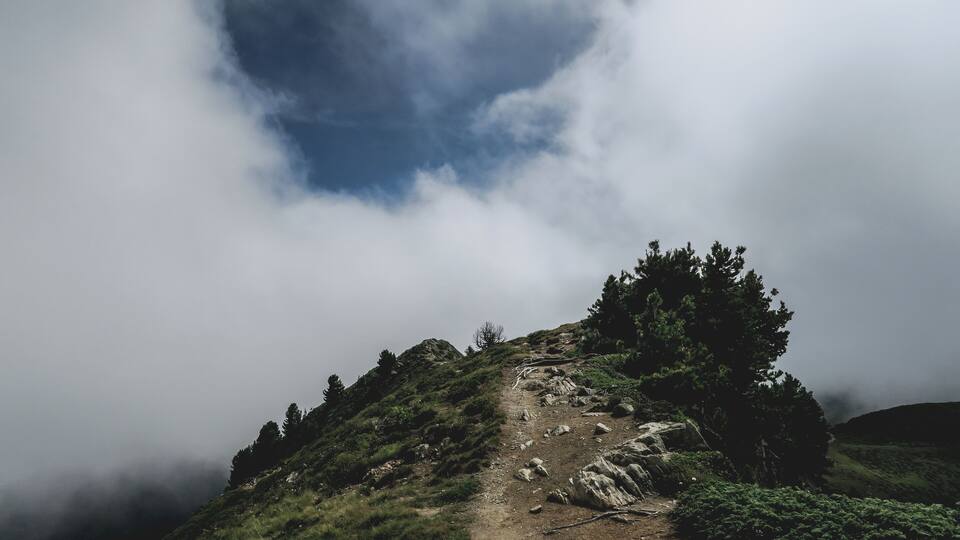 A mountain path with trees and rocky terrain.