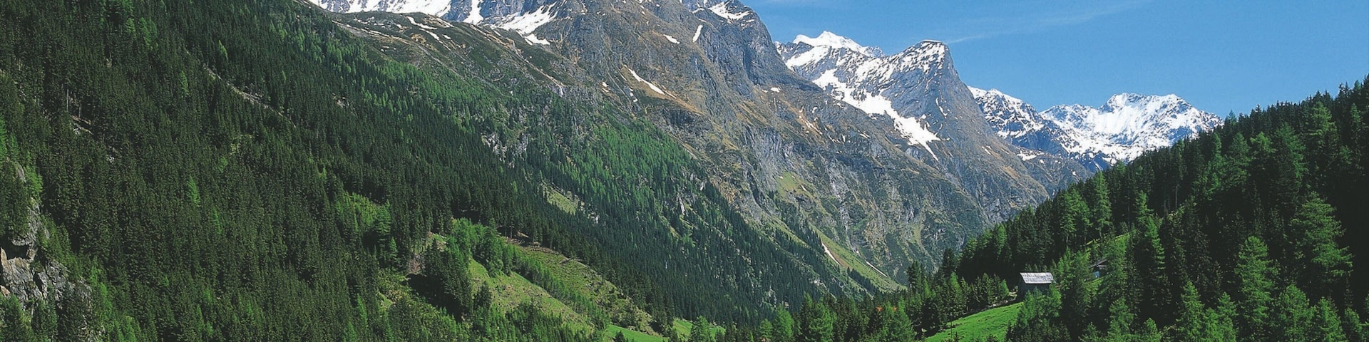 A mountainous landscape with a village nestled in a valley, surrounded by dense forests and snow-capped peaks.