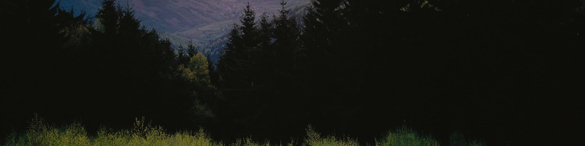 Weissenkirchen in der Wachau featuring mountains, tranquil scenes and a sunset