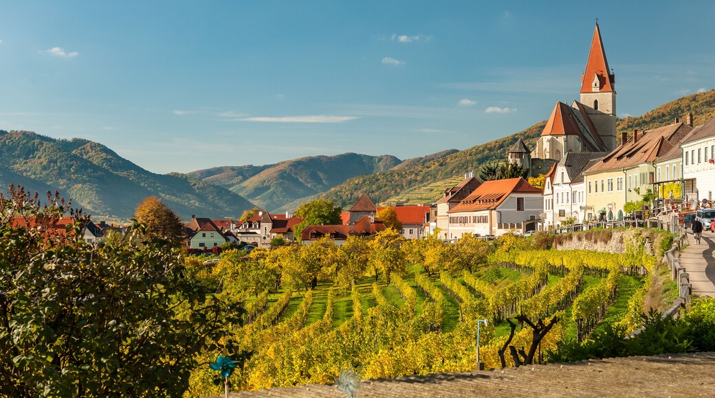 Weissenkirchen in der Wachau Austria vineyards in autumn