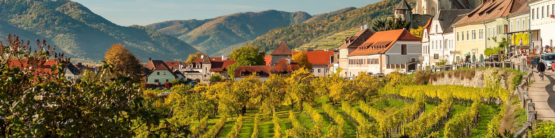 Weissenkirchen in der Wachau Austria vineyards in autumn